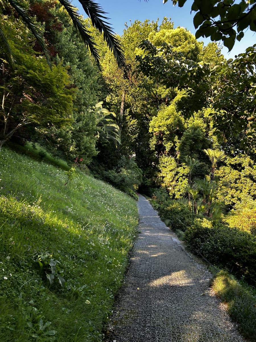 A gravel path through a garden